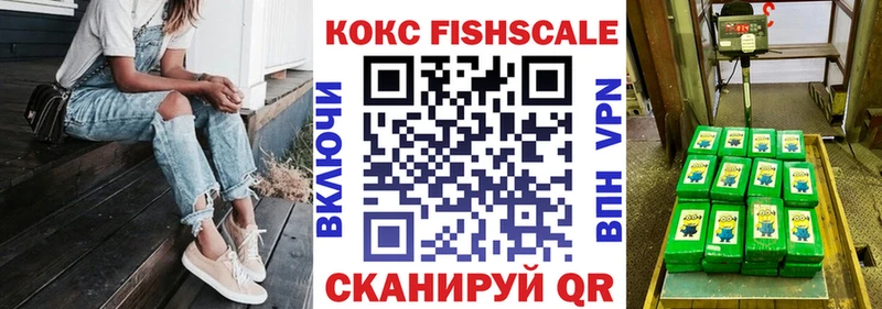 Cocaine FishScale  дарнет шоп  Перевоз 