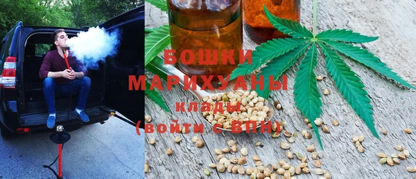 PSILOCYBIN Магас