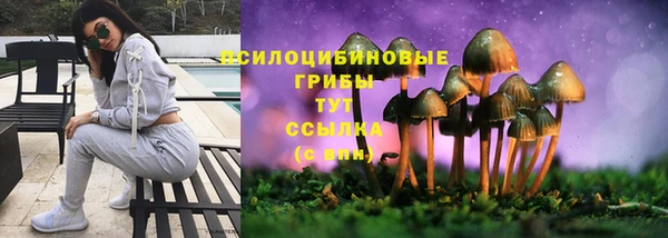 гидропоника Магадан