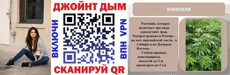 Бошки марихуана сатива  Перевоз 